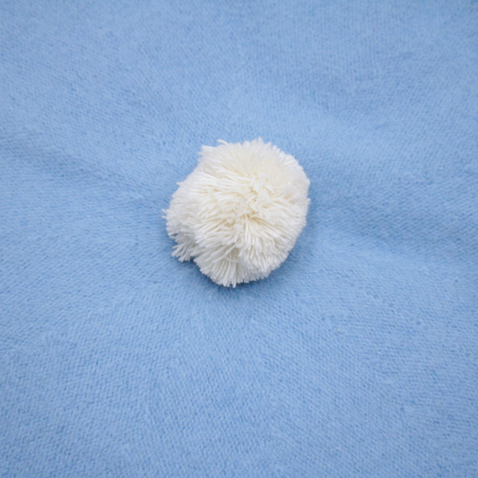 New Collection - Wool Beret | Pompom
